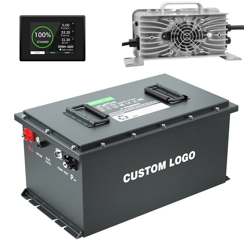 OEM/ODM Lifepo4 Batterie Golfkarrenbatterie 24V 36V 48V 72V 50Ah 100Ah 200Ah mit Smart BMS